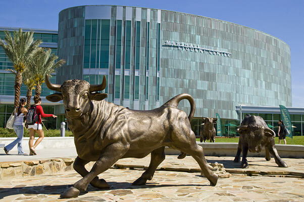 南佛羅里達大學University of South Florida（簡稱USF）