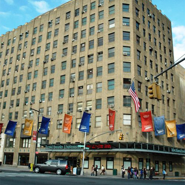 長島大學-布魯克林分校（Long Island University, Brooklyn）是一所位於紐約的私立大學